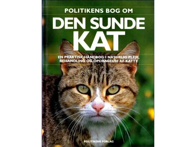 Katte : Billeder Historie - | Valby GulogGratis.dk