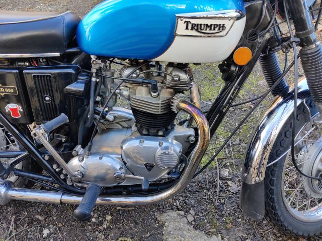 Triumph Tiger TR6 