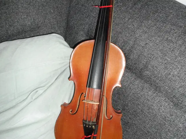 Bonus Permanent Hoved Violin | Nyborg - GulogGratis.dk