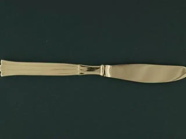 Regent Middagskniv, 21 cm.