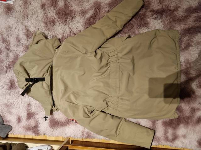 Canada Goose