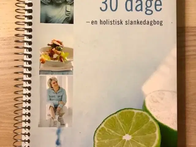 Lene Hanssons bøger  + kogebog