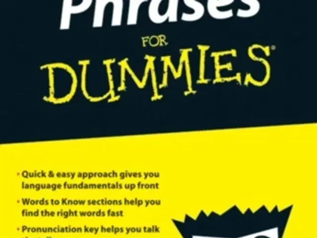 arabic-phrases-for-dummies-viborg-guloggratis-dk