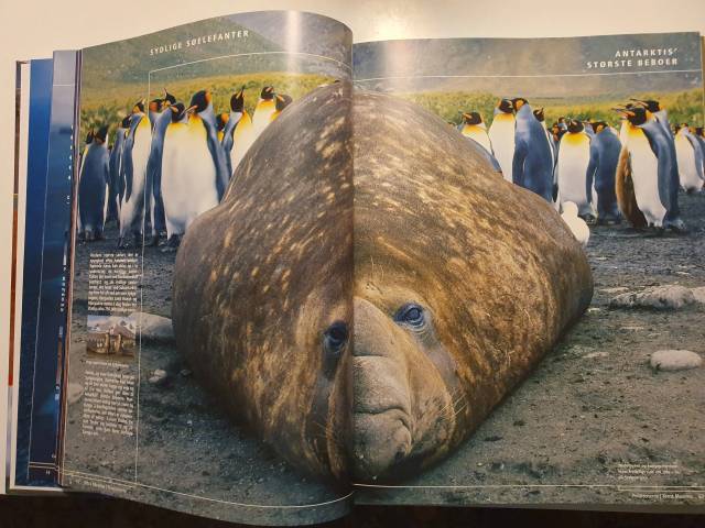 Naturens Rekorder. Vores fantastiske verden 