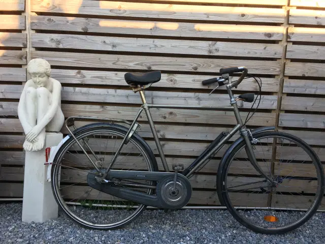 mave Ved en fejltagelse hundrede RIGTIG hr cykel ! | Odense SØ - GulogGratis.dk