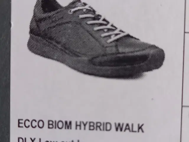 ECCO hybrid walk | Aalborg -