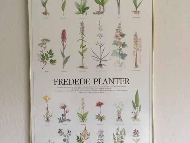 Flot indrammet gammel plakat