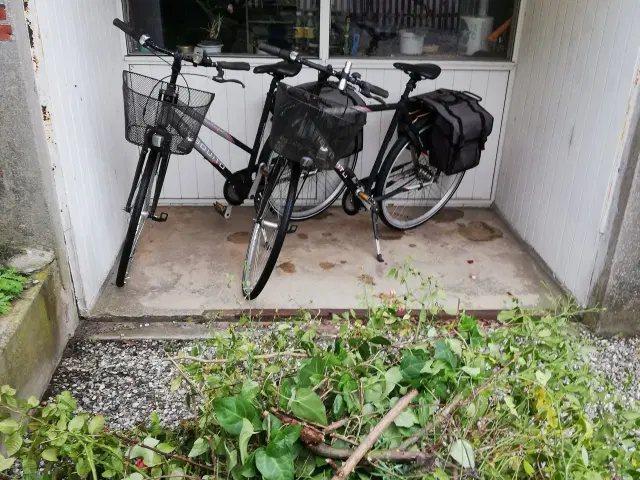 Cykler | - GulogGratis.dk
