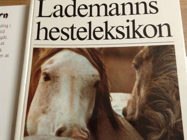 Store stinkende bjørne m.fl.